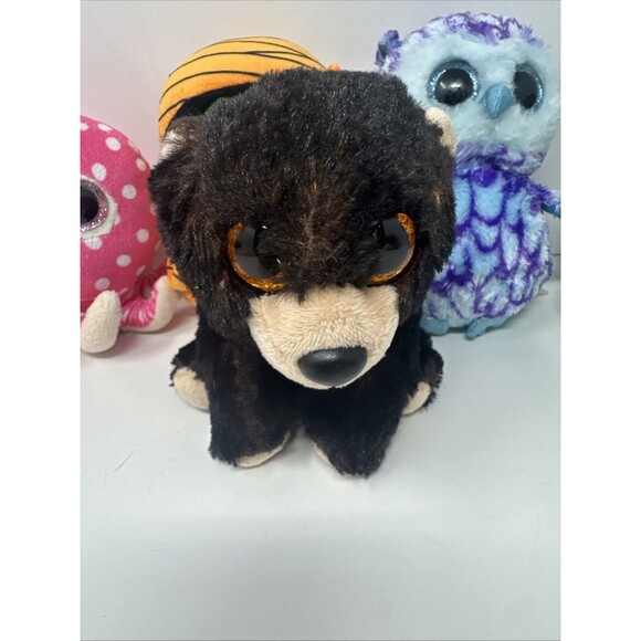 Ty Assorted Beanie Boos LOT OF 8 Mask Coconut Tracey Oscar Cinder Lollipop Ollie - Picture 10 of 16